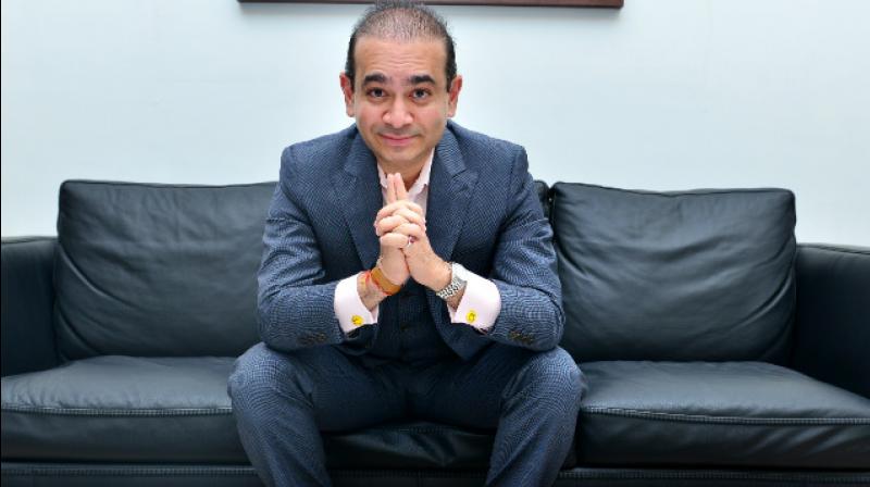 nirav modi in uk nirav modi in uk