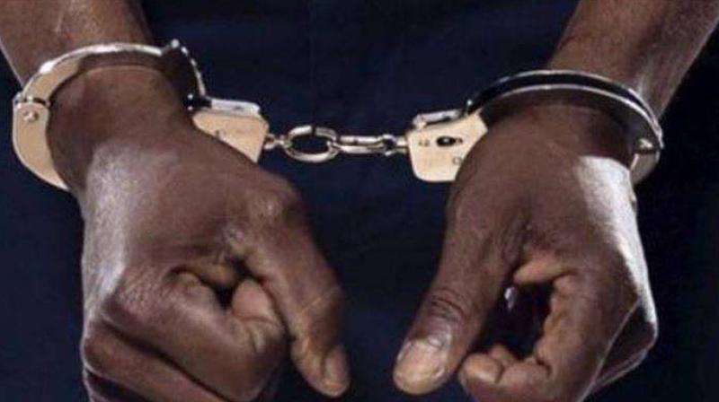 Son kills father's Son kills father's