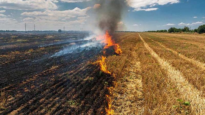 Stubble Burning Stubble Burning