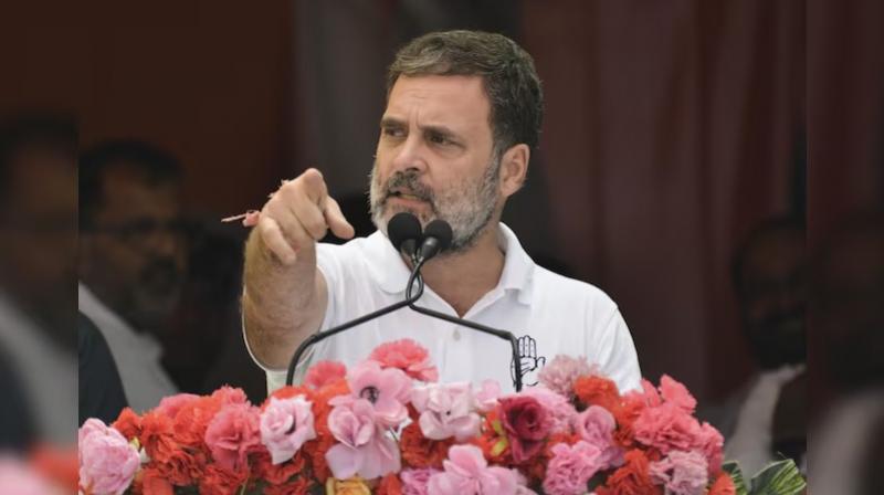 Rahul Gandhi 
