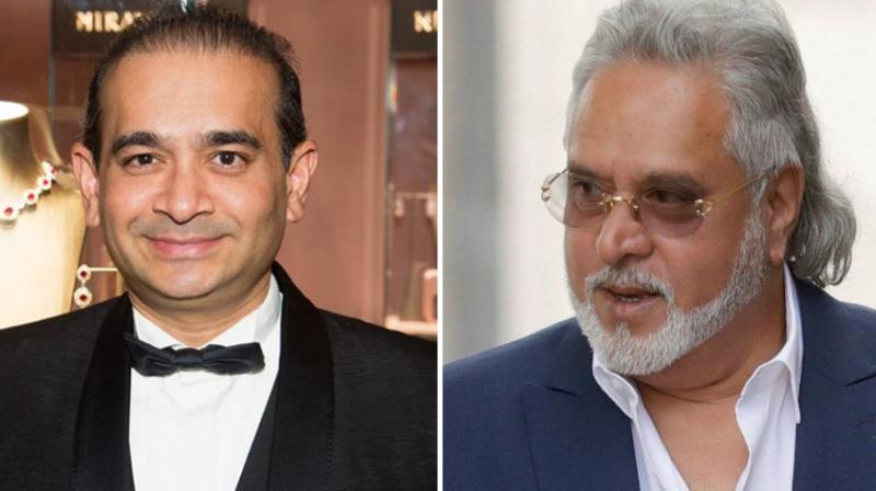 Neerav Modi And Mallya