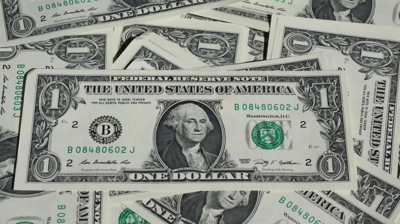 India's foreign exchange reserves are increasing; 66 billion dollars earned in 2024 India's foreign exchange reserves are increasing; 66 billion dollars earned in 2024