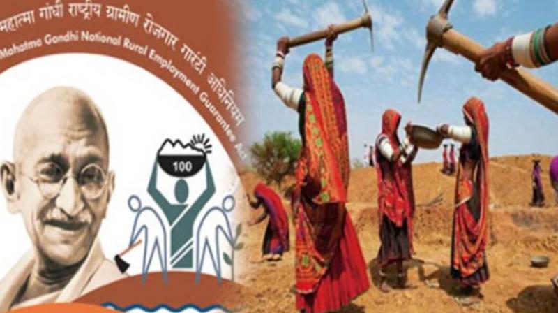 Mgnrega Worker Mgnrega Worker