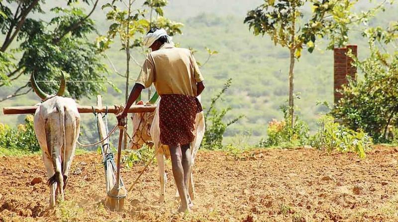 This farmer quit his job and tried his hand in farming, he earned millions by farming only 2000 This farmer quit his job and tried his hand in farming, he earned millions by farming only 2000