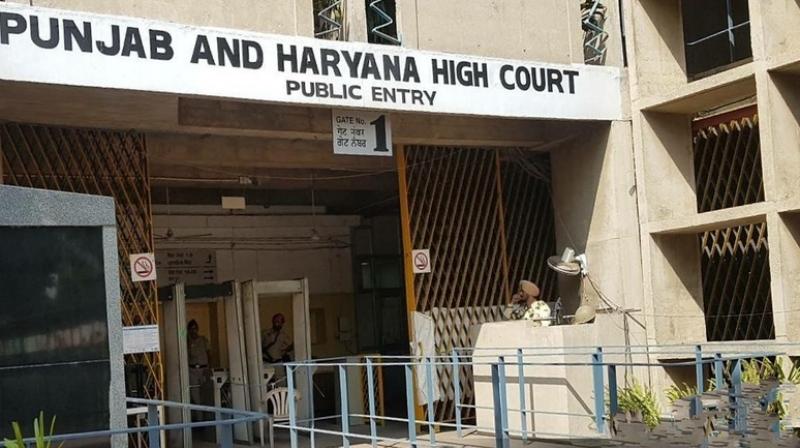 High Court started hearing on Dera chief appeal in Sadhvis case High Court started hearing on Dera chief appeal in Sadhvis case