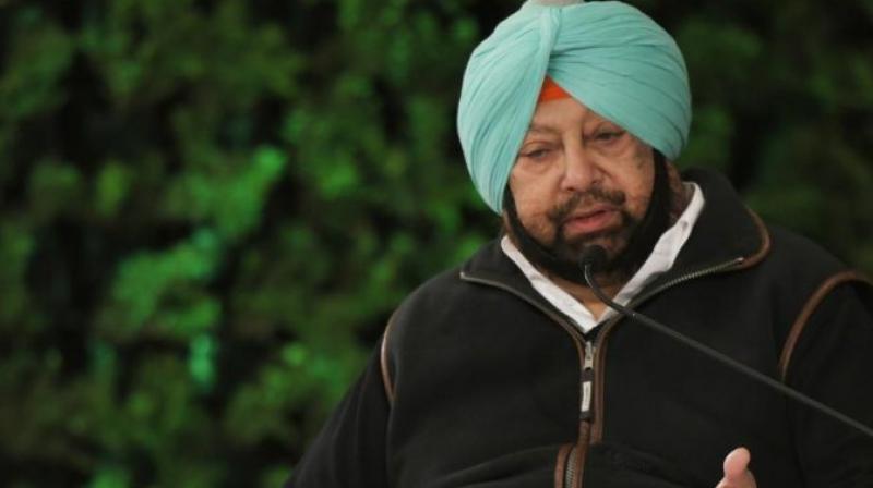 New thinking of progressive punjab employment will now be provided to the unemployed New thinking of progressive punjab employment will now be provided to the unemployed