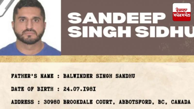 Sandeep Singh Sidhu Declared Fugitive News Sandeep Singh Sidhu Declared Fugitive News