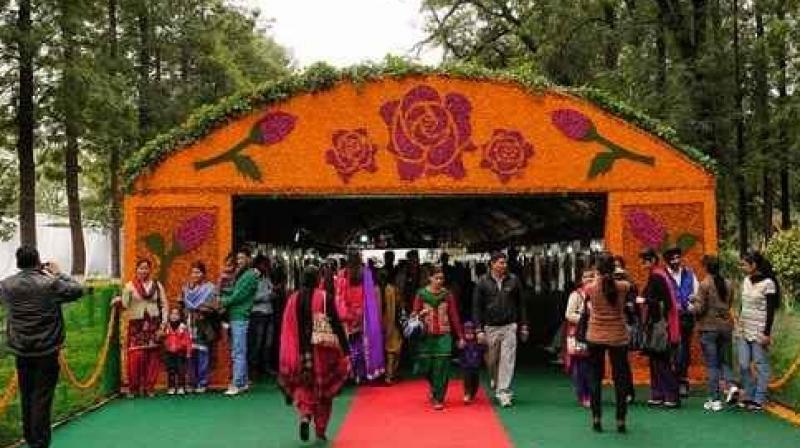 52nd Rose Festival starting today in Chandigarh News 52nd Rose Festival starting today in Chandigarh News