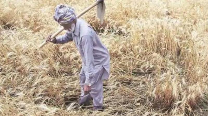 Farmers of Punjab are drowning in lakhs of debt