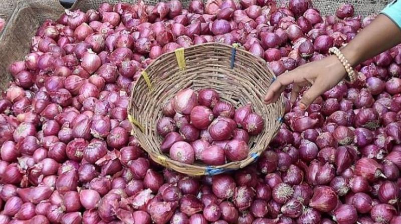 Onion price 