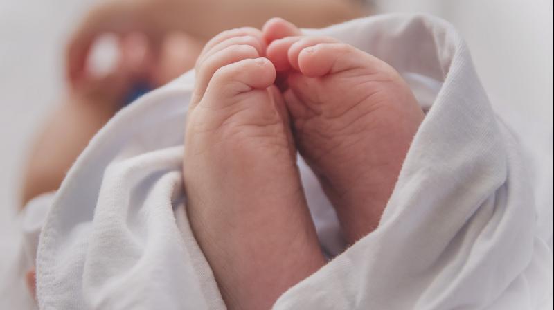 Kissing a newborn baby is extremely dangerous Kissing a newborn baby is extremely dangerous