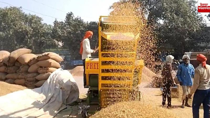 Paddy lifting in Punjab crosses 150 lakh metric tonnes