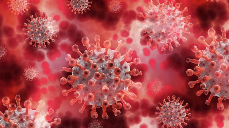 Coronavirus Coronavirus