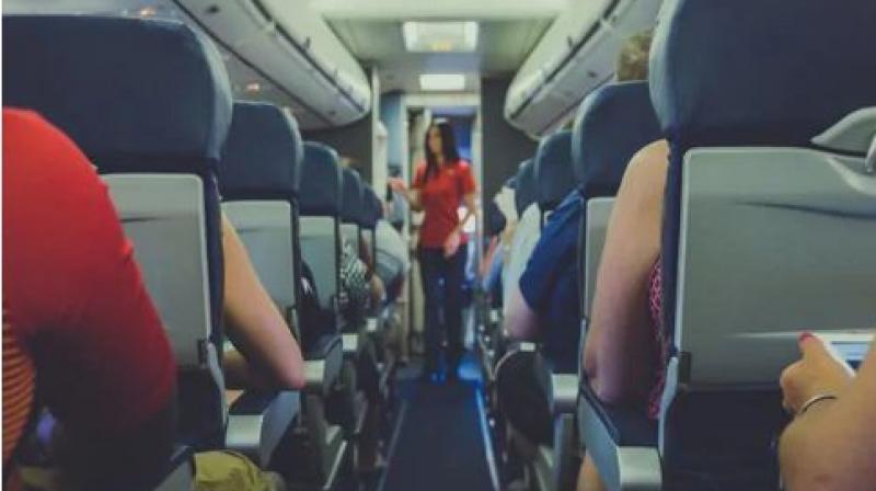 flight attendant flight attendant
