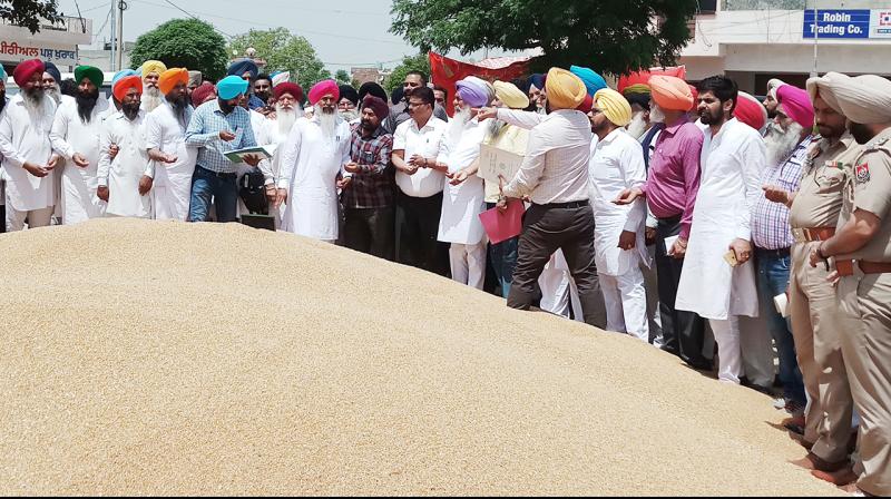 mandi mandi