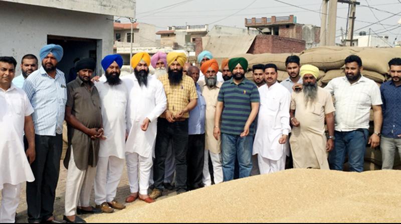 mandi mandi