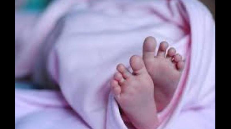 Baby Born in Toilet Baby Born in Toilet