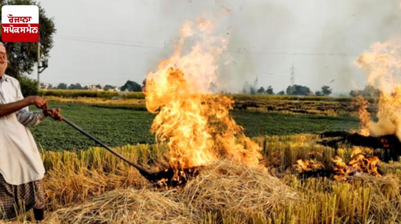 57 new incidents of farm fires have come to light in Punjab News 57 new incidents of farm fires have come to light in Punjab News