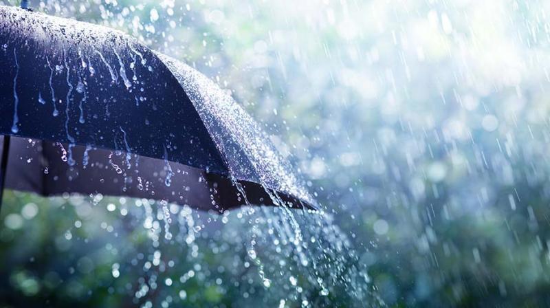 Rain Rain
