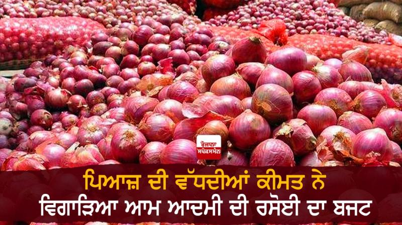 onion onion