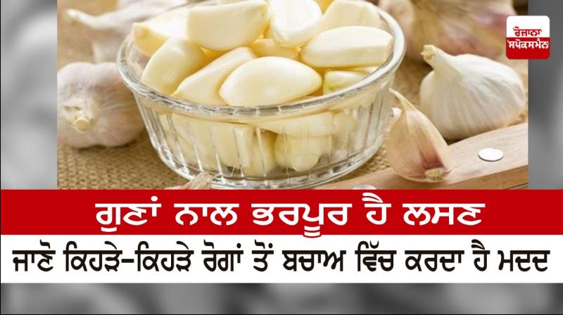Health Benefits of Garlic Health Benefits of Garlic