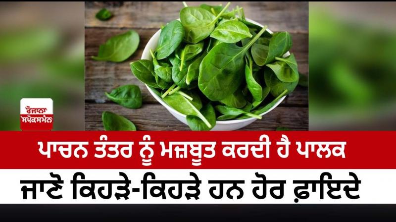 Palak strengthens the digestive system Palak strengthens the digestive system