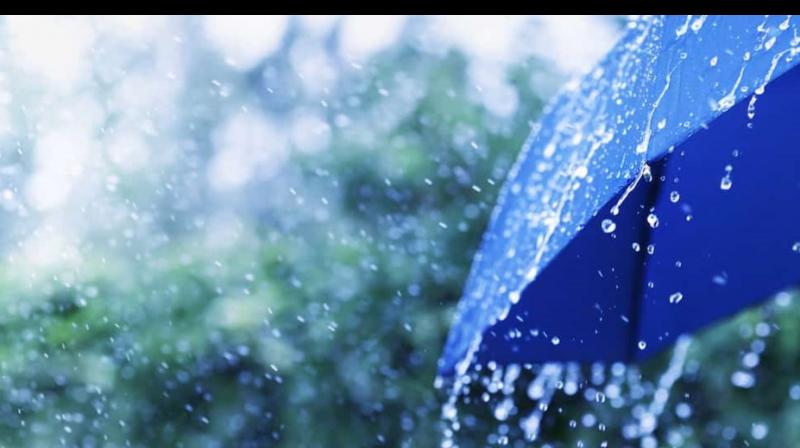 Rain Rain