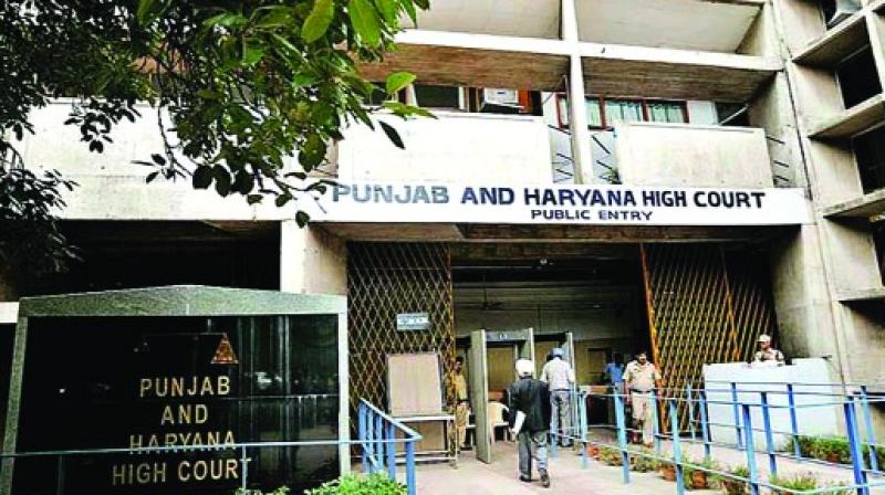 Punjab News: The High Court took notice of the killing of wild animals due to drying up of water in the dams Punjab News: The High Court took notice of the killing of wild animals due to drying up of water in the dams