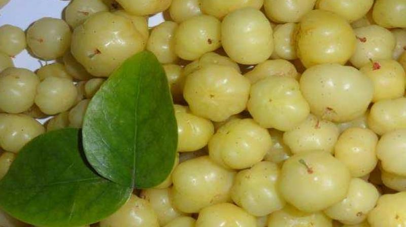 Amla Murabba