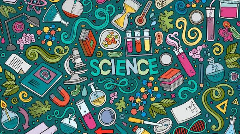 science science