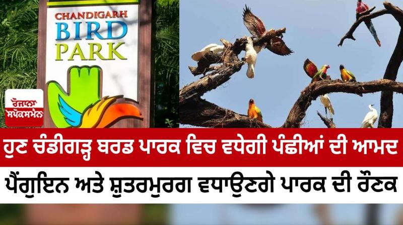 Chandigarh Bird Park Chandigarh Bird Park