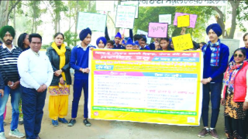 Swine Flu Awareness Rally