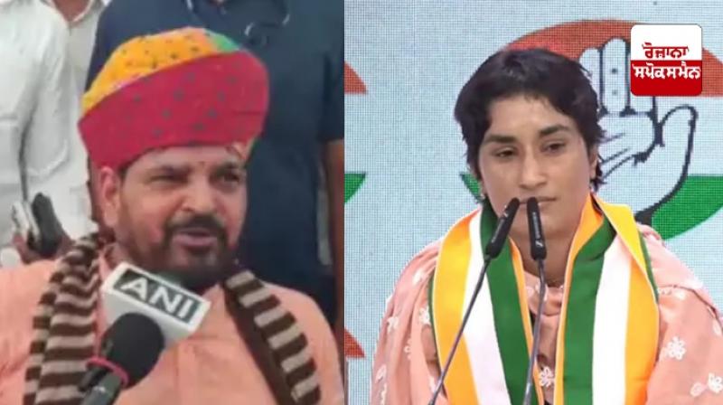 Brij Bhushan Sharan Singh Reaction on Vinesh Phogat wins Brij Bhushan Sharan Singh Reaction on Vinesh Phogat wins