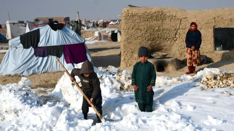 157 deaths due to cold in Afghanistan: temperature reached -28 degrees Celsius 157 deaths due to cold in Afghanistan: temperature reached -28 degrees Celsius