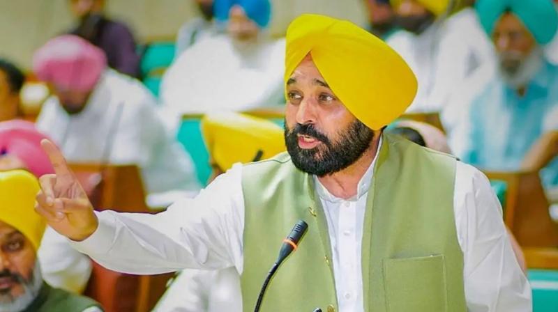 Chief Minister Bhagwant Mann's big announcement regarding agriculture policy Chief Minister Bhagwant Mann's big announcement regarding agriculture policy