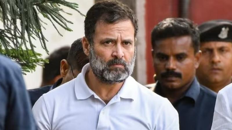Rahul Gandhi Rahul Gandhi