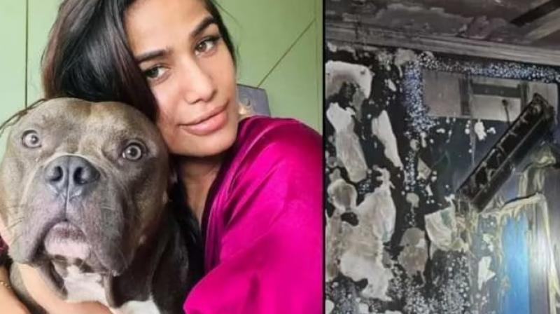 A terrible fire broke out in Poonam Pandey's house A terrible fire broke out in Poonam Pandey's house