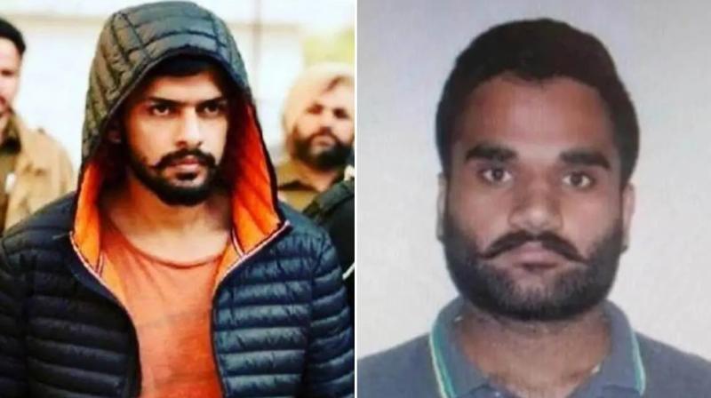 Delhi Police bust 3 extortion modules of Goldy Brar-Lawrence Bishnoi gang Delhi Police bust 3 extortion modules of Goldy Brar-Lawrence Bishnoi gang