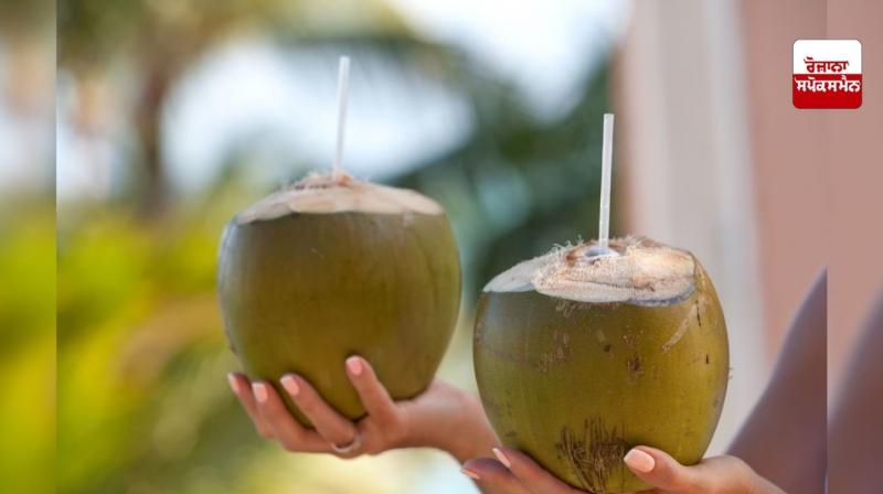 Coconut water is very beneficial for children Coconut water is very beneficial for children
