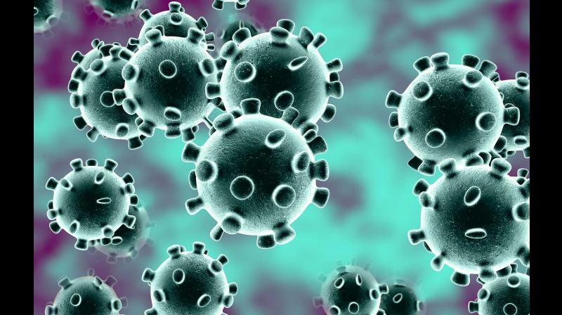 Corona Virus Corona Virus