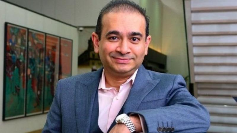 Nirav Modi