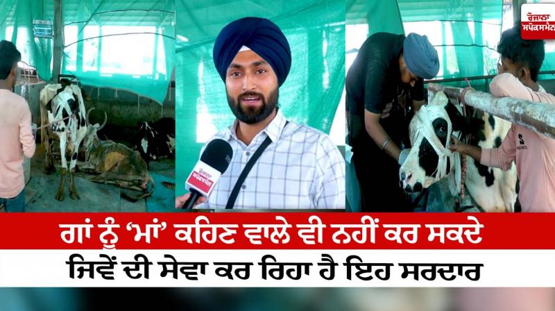 Kamdhenu Gau Dhaam Trust Amritsar Kamdhenu Gau Dhaam Trust Amritsar