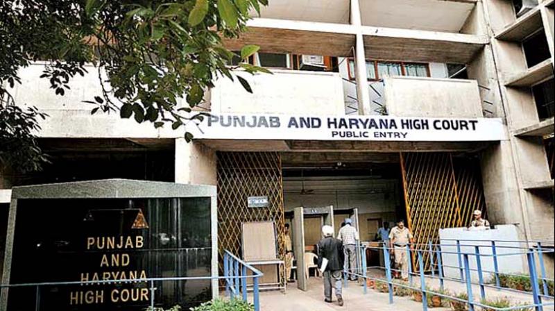 Punjab And Hariyana High Court Punjab And Hariyana High Court