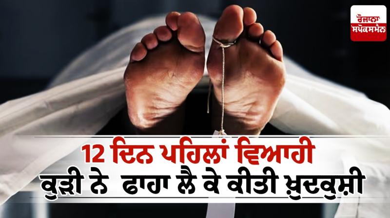 ludhiana News