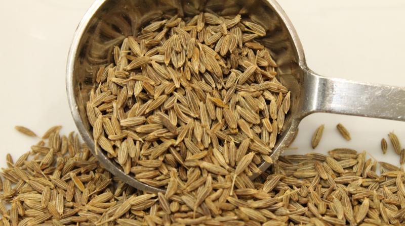 cumin sees cumin sees