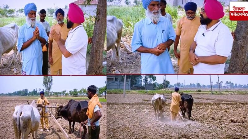 Two farmer brothers have been farming with a pair of bullocks Two farmer brothers have been farming with a pair of bullocks