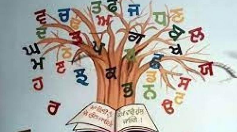 punjabi language punjabi language