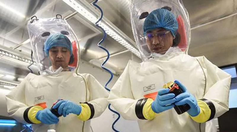wuhan research lab coronavirus leak theory no longer being discounted in britain wuhan research lab coronavirus leak theory no longer being discounted in britain