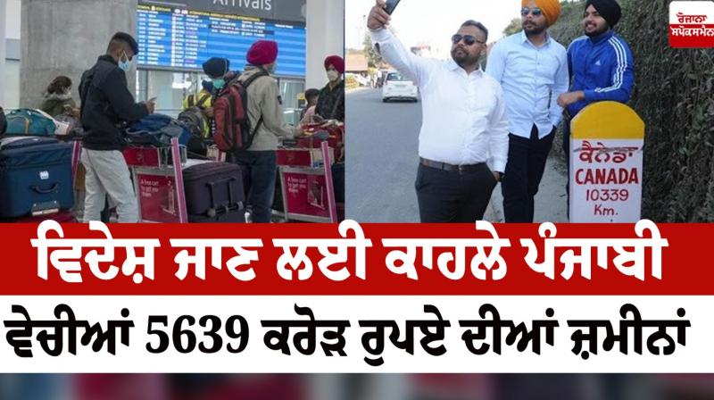 Punjabis in a hurry to go abroad News