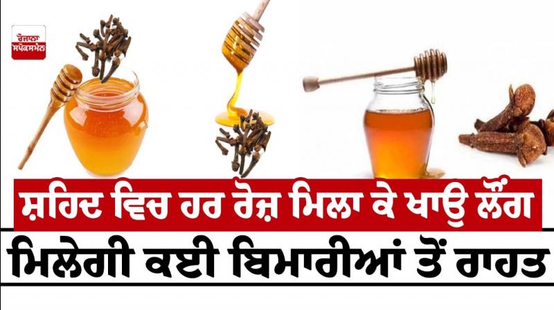 Eat cloves mixed with honey every day, you will get relief from many diseases Eat cloves mixed with honey every day, you will get relief from many diseases